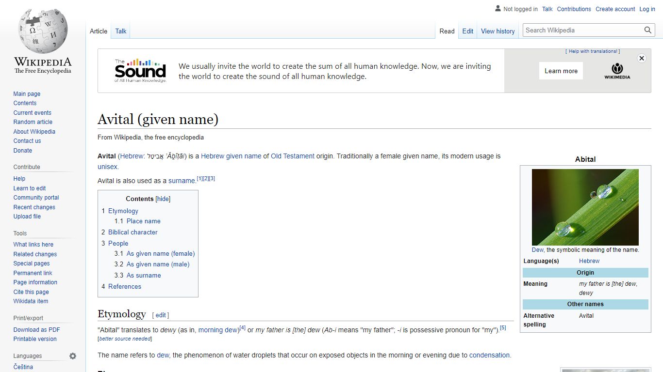 Avital (given name) - Wikipedia